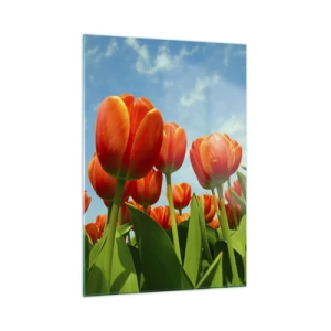 Glasbild - Bild auf glas - Ein Feld mit roten Tulpen unter blauem Himmel - 50x70cm - Außer dem blauen Himmel brauchen sie nichts in ihrem Leben - Moderne Wanddekoration für Wohnzimmer und Schlafzimmer ARTTOR