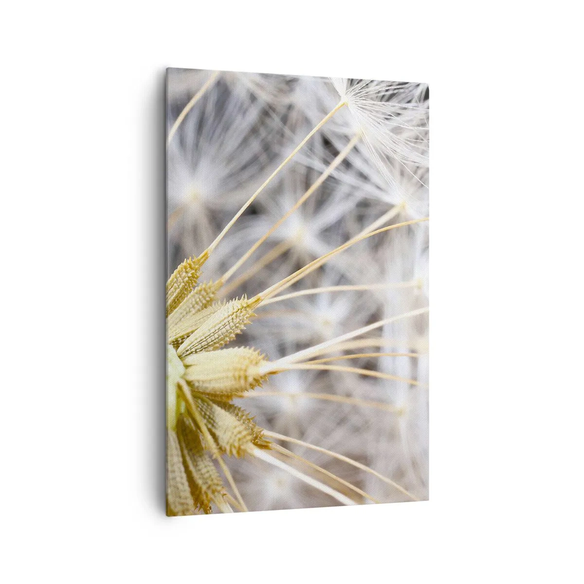 Bild auf Leinwand - Leinwandbild - Makrofotografie eines Löwenzahns mit zarten Samen - 80x120cm - Kurz vor dem Abflug - Moderne Wanddekoration für Wohnzimmer und Schlafzimmer ARTTOR
