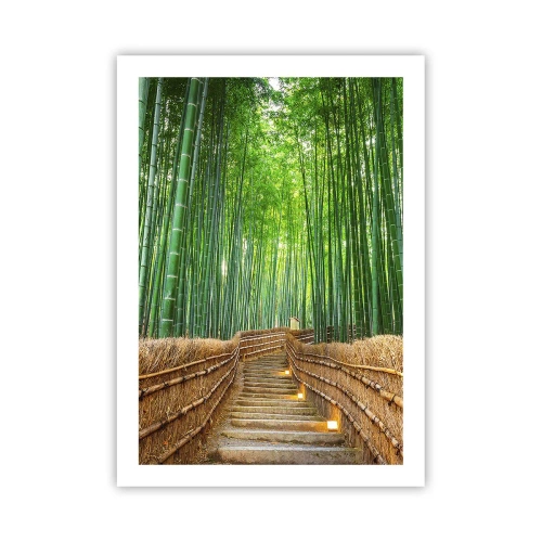 Poster - Weg durch den Bambuswald mit Beleuchtung - 50x70cm - Die Essenz der asiatischen Natur - Moderne Wanddekoration für Wohnzimmer und Schlafzimmer ARTTOR