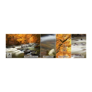 Fototapeten Muster Premium Canvas - Ein Bach in einem goldenen Wald - Landschaft, Wald, Gebirgsbach - 100x30 cm