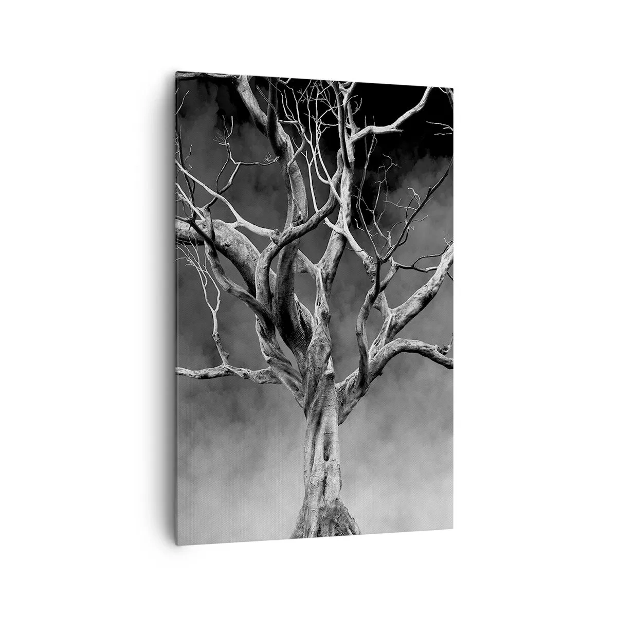 Bild auf Leinwand - Leinwandbild - Ein trockener Baum in Schwarz und Weiß gegen den Nebel - 80x120cm - Ursprünglich und heilig - Moderne Wanddekoration für Wohnzimmer und Schlafzimmer ARTTOR