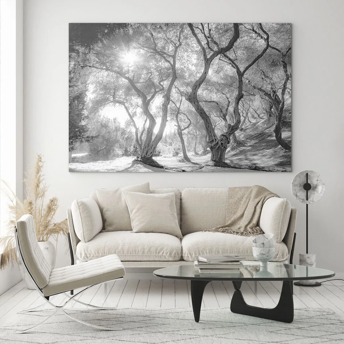 Glasbild - Bild auf glas - Schwarz-weiße Olivenbäume im Sonnenlicht - 70x50cm - Im Olivenhain - Moderne Wanddekoration für Wohnzimmer und Schlafzimmer ARTTOR