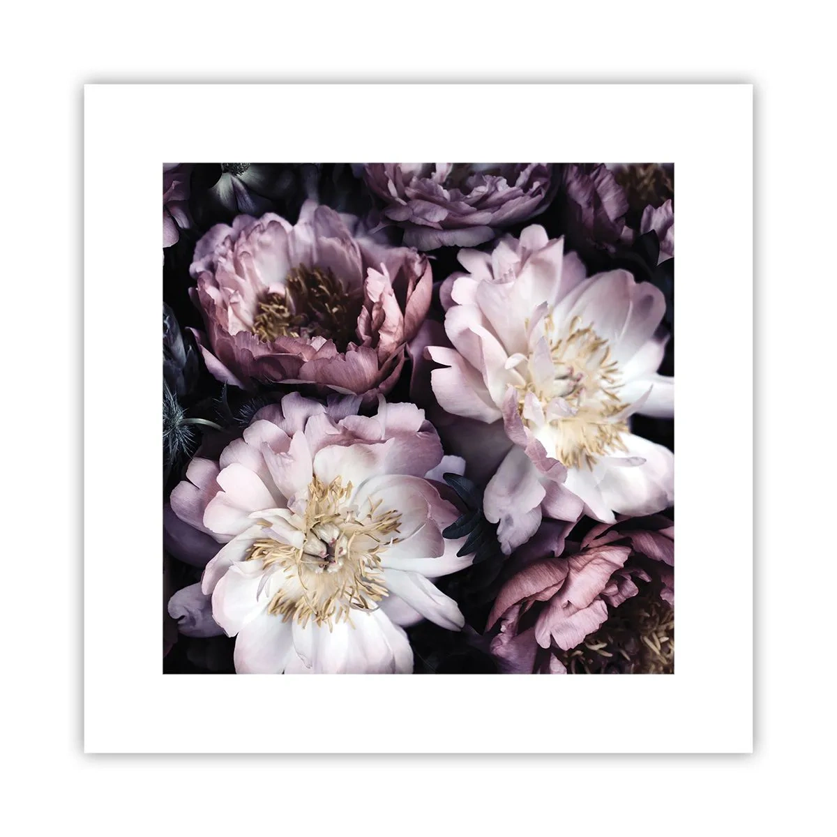 Poster - Blumenstrauß im alten Stil - 30x30 cm