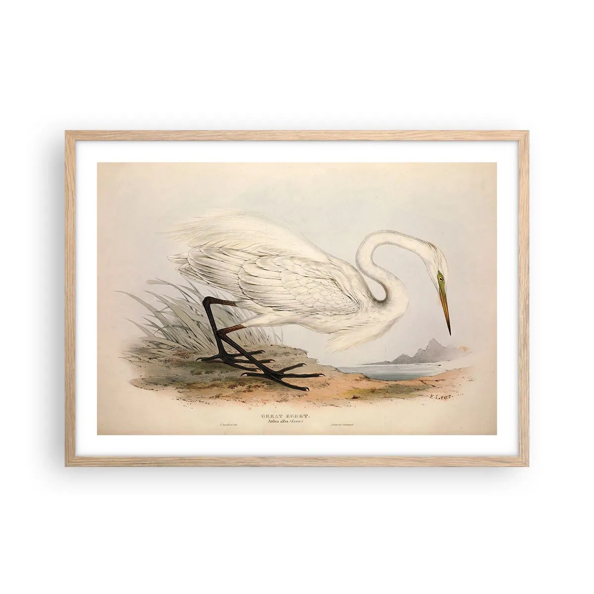 Poster in einem Rahmen aus heller Eiche - Dame auf den Binsen - 70x50 cm