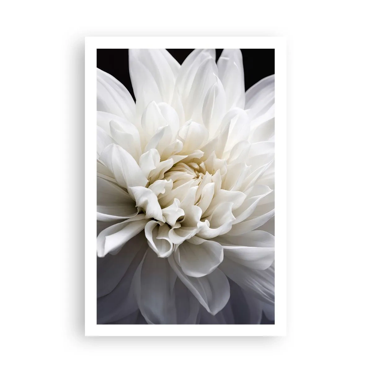 Poster - Der Morgen der Braut - 61x91 cm