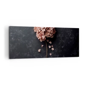 Bild auf Leinwand - Leinwandbild - Eine zarte Hortensienblüte auf dunklem Hintergrund - 120x50cm - Wirklich romantisches Zeichen - Moderne Wanddekoration für Wohnzimmer und Schlafzimmer ARTTOR