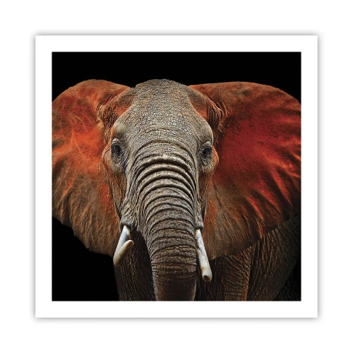 Poster - Ich bin wild und du? - 60x60 cm