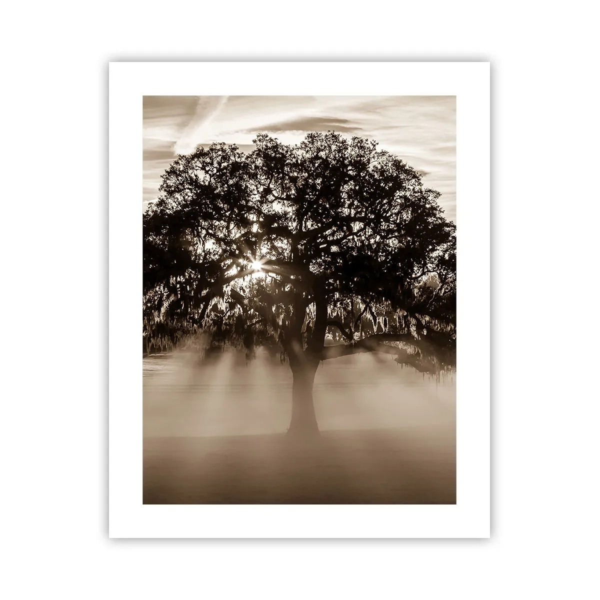 Poster - Baum der guten Nachrichten  - 40x50 cm