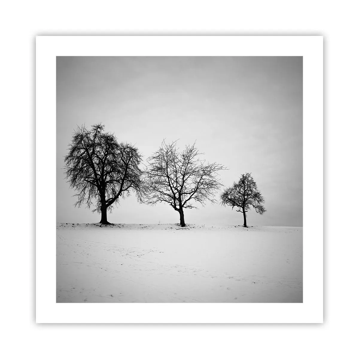 Poster - Wovon träumen sie? - 50x50 cm