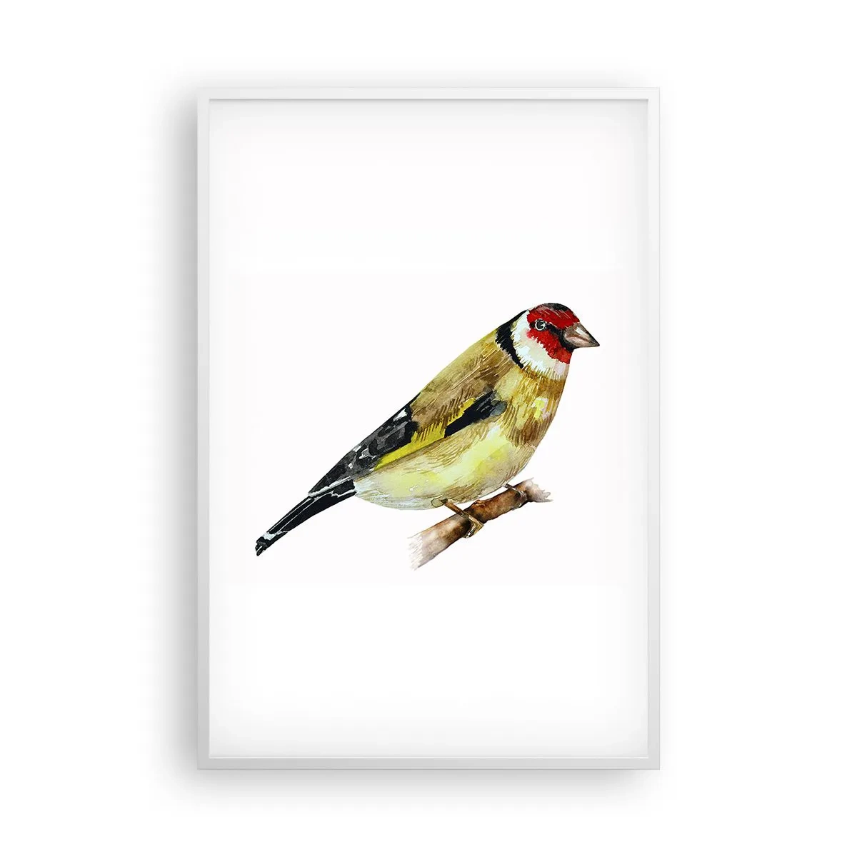 Poster in einem weißen Rahmen - Vogelporträt - 61x91 cm