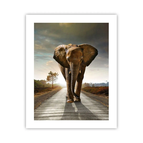 Poster - Und schon gar nicht in einem Porzellanlager - 40x50 cm