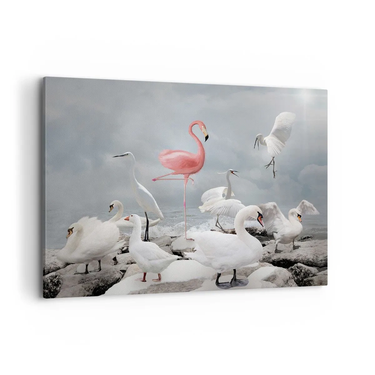 Bild auf Leinwand - Leinwandbild - Ein rosa Flamingo zwischen weißen Schwänen vor der Kulisse eines Sees - 100x70cm - Wie kam ich hier hin? - Moderne Wanddekoration für Wohnzimmer und Schlafzimmer ARTTOR