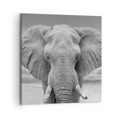 Bild auf Leinwand - Leinwandbild - Willkommen in meiner Welt - 50x50 cm