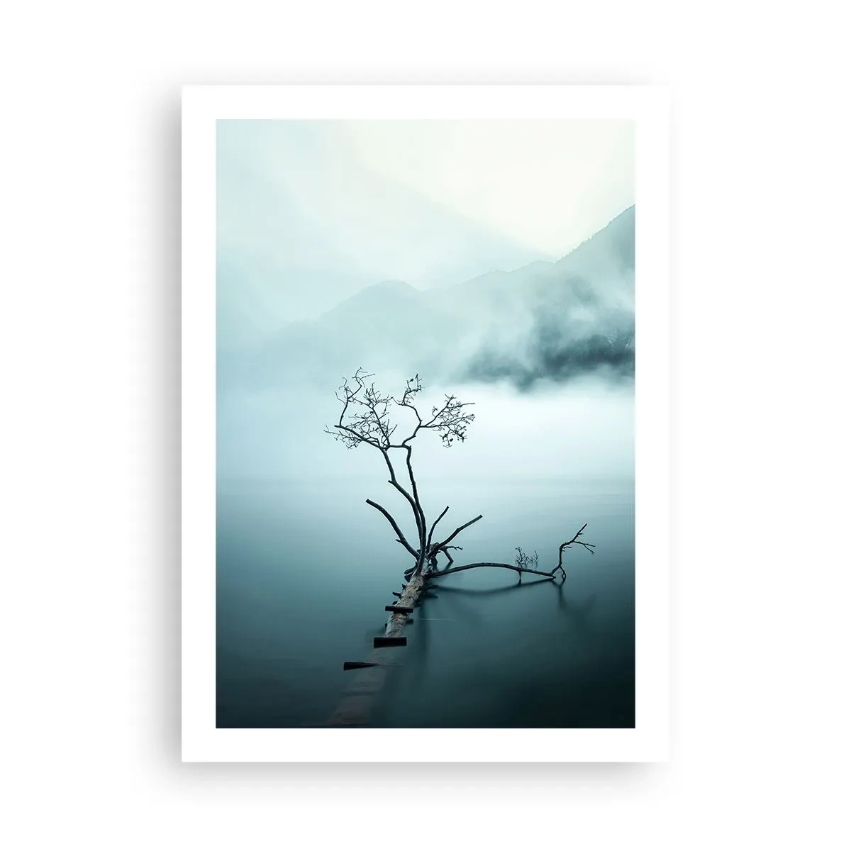 Poster - Ein Foto eines einsamen Baumes, der aus dem Wasser wächst, umgeben von Nebel und Bergen. - 50x70cm - Aus Wasser und Nebel - Moderne Wanddekoration für Wohnzimmer und Schlafzimmer ARTTOR