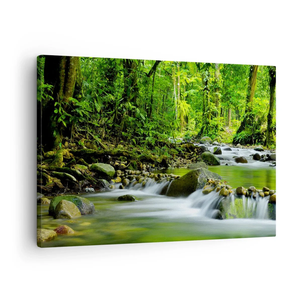 Bild auf Leinwand - Leinwandbild - Ein Bach in einem üppigen tropischen Wald - 70x50cm - Schwimmen Sie in einem Meer aus Grün - Moderne Wanddekoration für Wohnzimmer und Schlafzimmer ARTTOR