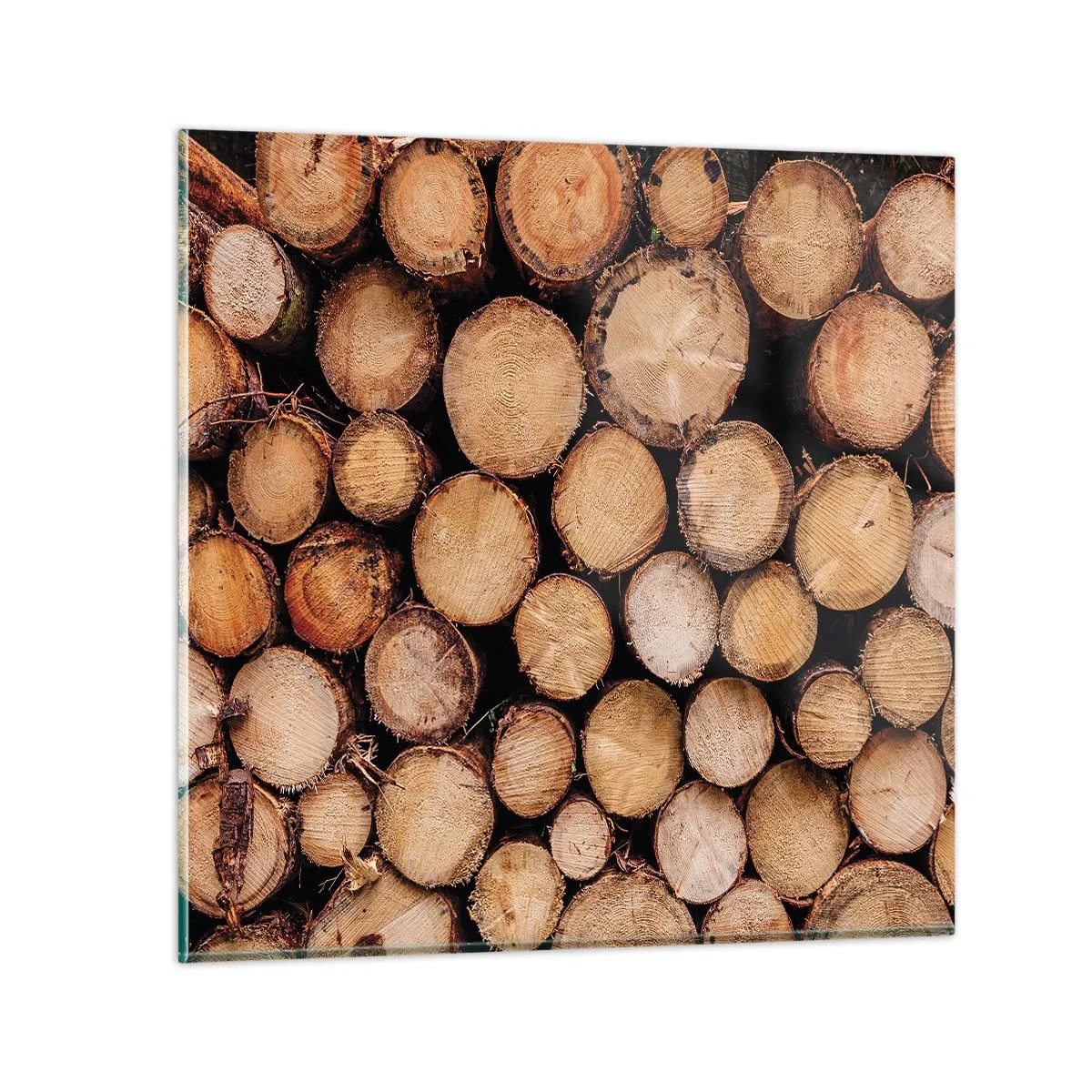 Glasbild - Bild auf glas - Ein neuer Anfang - 40x40 cm