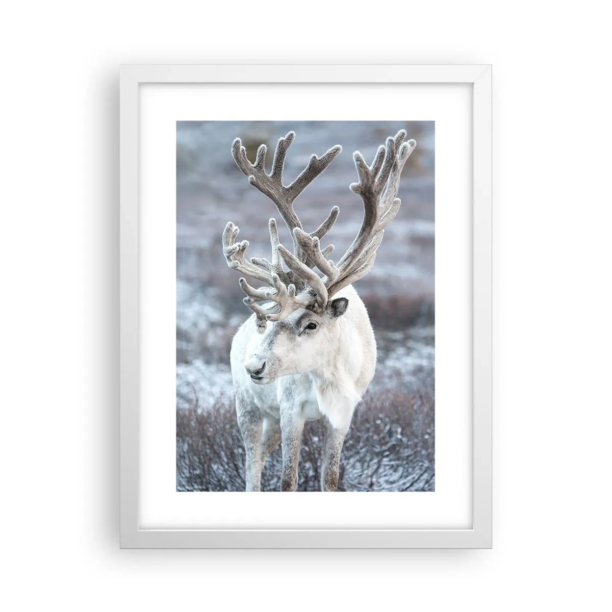 Poster in einem weißen Rahmen - Porträt in der Sonne - 30x40 cm