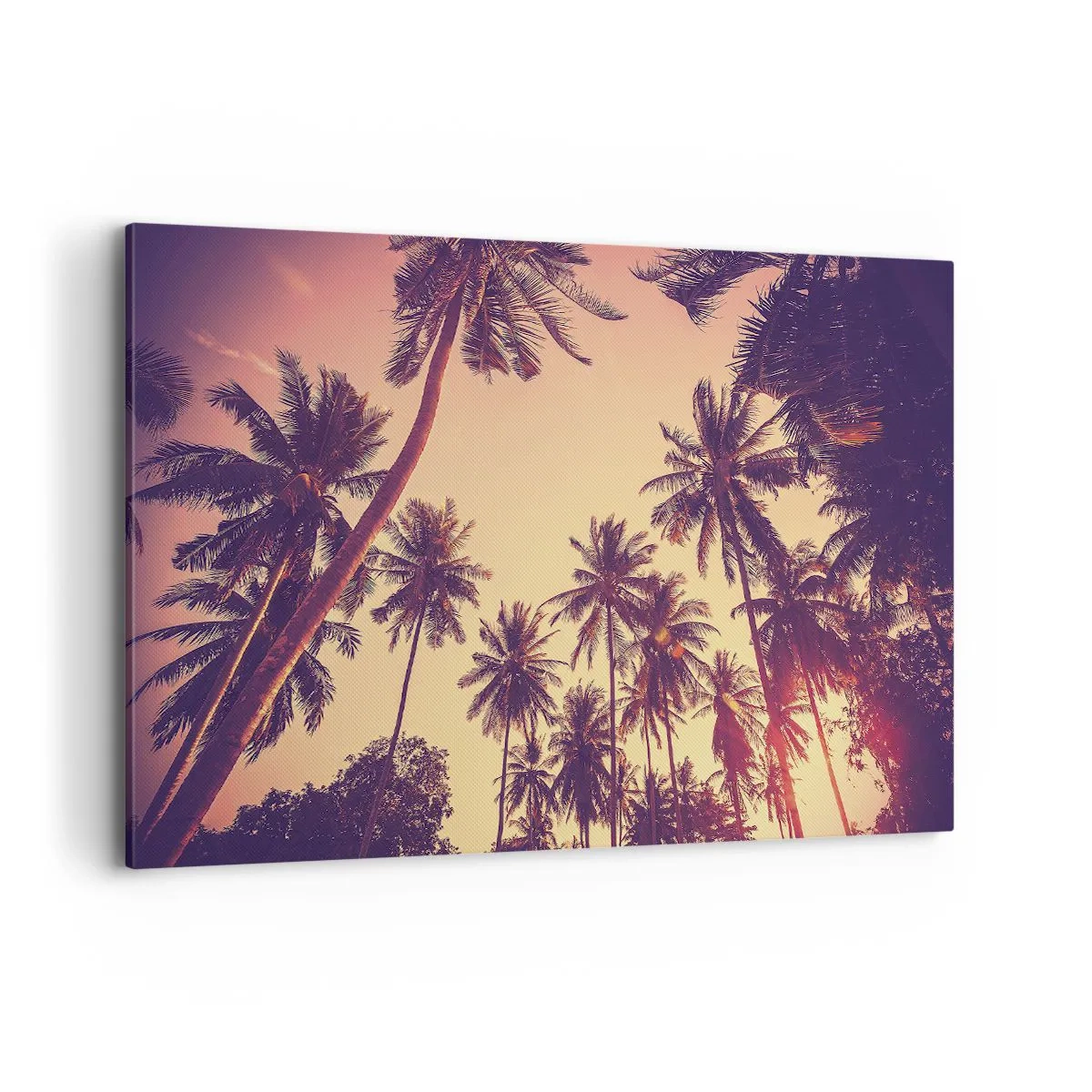 Bild auf Leinwand - Leinwandbild - Palmen vor dem Himmel mit warmen Sonnenuntergangsfarben - 120x80cm - Tropische Variante - Moderne Wanddekoration für Wohnzimmer und Schlafzimmer ARTTOR
