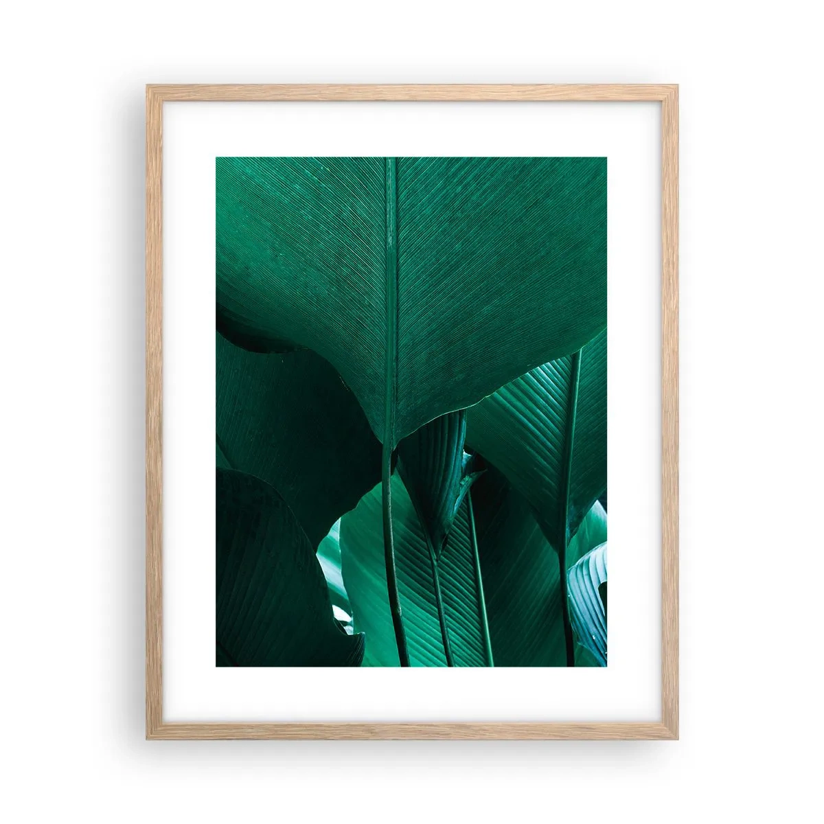 Poster in einem Rahmen aus heller Eiche - Dem Licht zugewandt - 40x50 cm