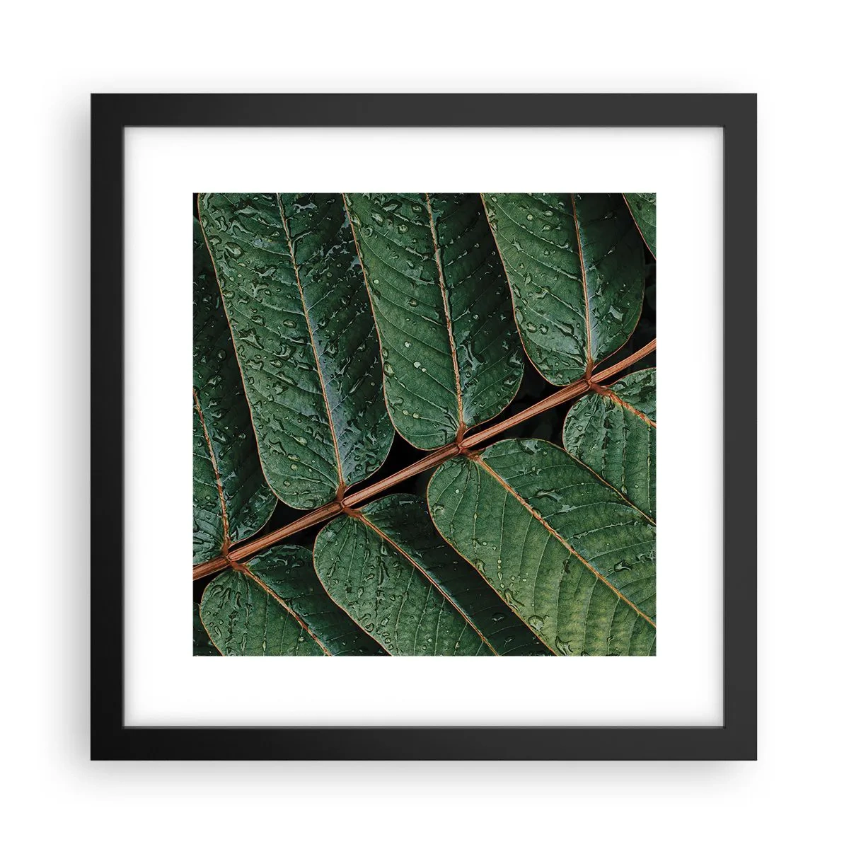 Poster in einem schwarzem Rahmen - Im grünen Rhythmus - 30x30 cm