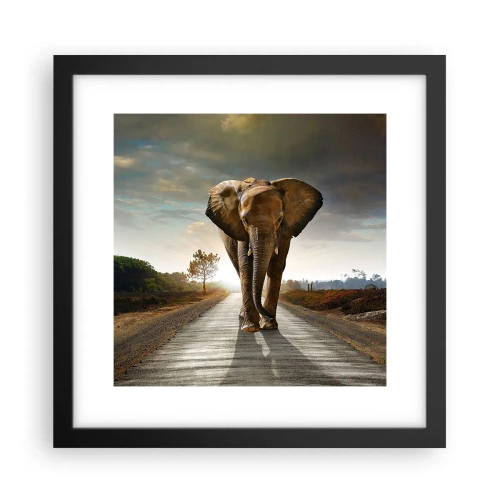 Poster in einem schwarzem Rahmen - Und schon gar nicht in einem Porzellanlager - 30x30 cm