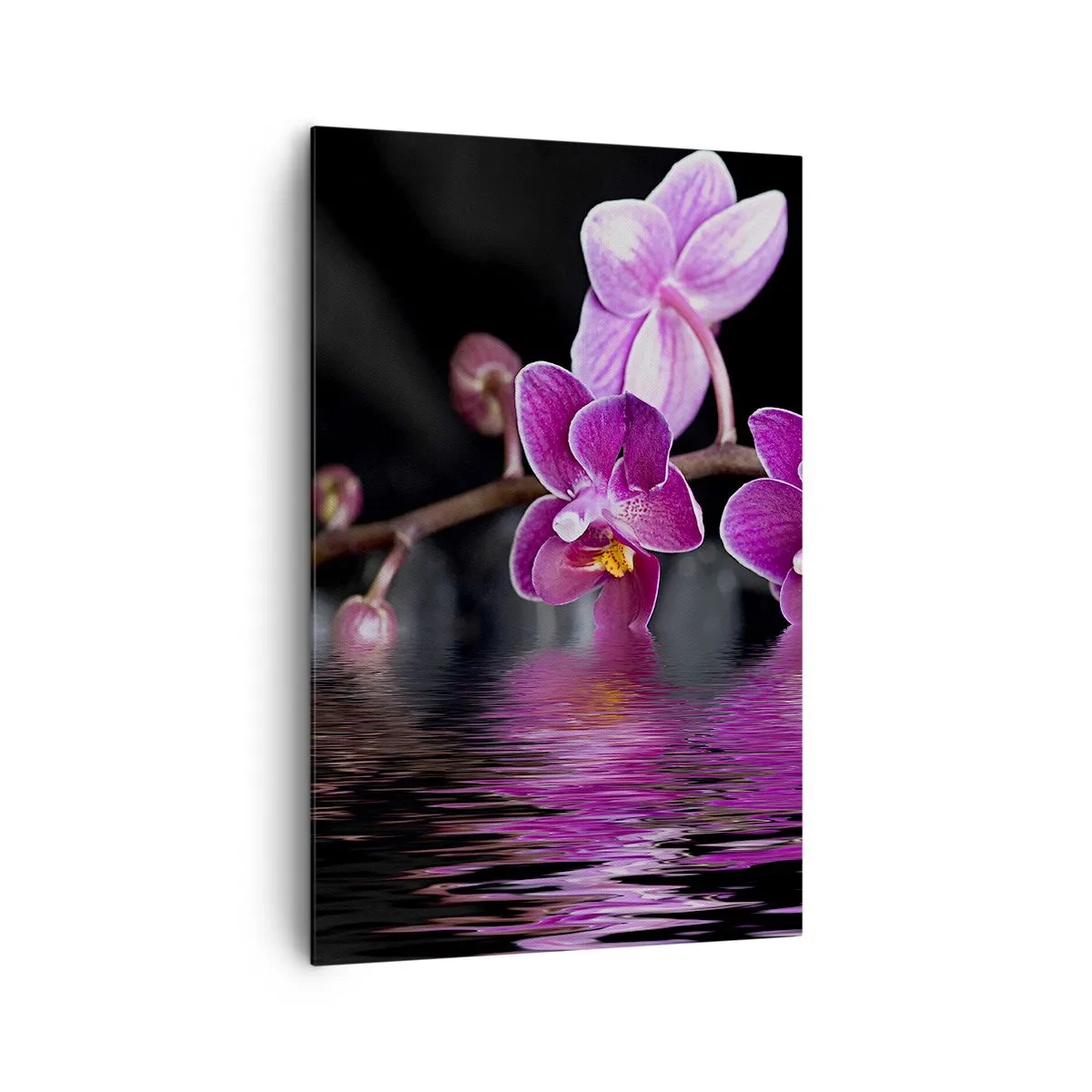 Bild auf Leinwand - Leinwandbild - Lila Orchideen über ruhigem Wasser vor schwarzem Hintergrund - 80x120cm - Lila Spiegelbild der Schönheit - Moderne Wanddekoration für Wohnzimmer und Schlafzimmer ARTTOR