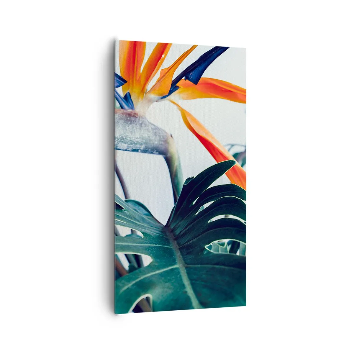 Bild auf Leinwand - Leinwandbild - Vogelbusch - 65x120 cm