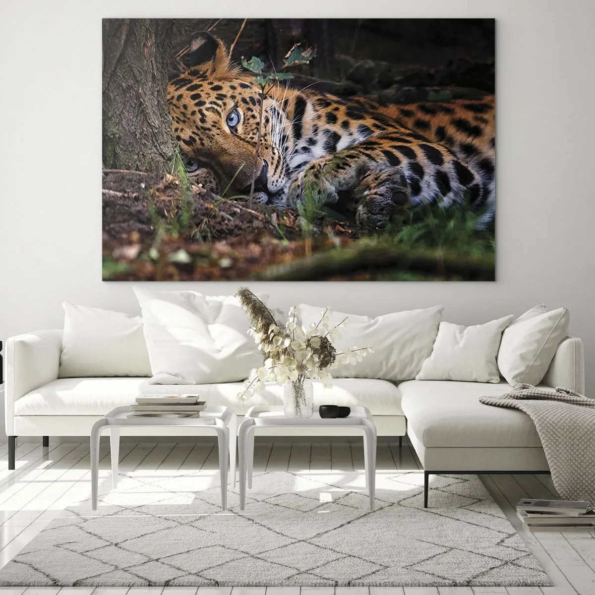 Glasbild - Bild auf glas - Ein Jaguar liegt auf dem Boden und blickt ruhig in die Kamera. - 70x50cm - Vertrau mir - Moderne Wanddekoration für Wohnzimmer und Schlafzimmer ARTTOR