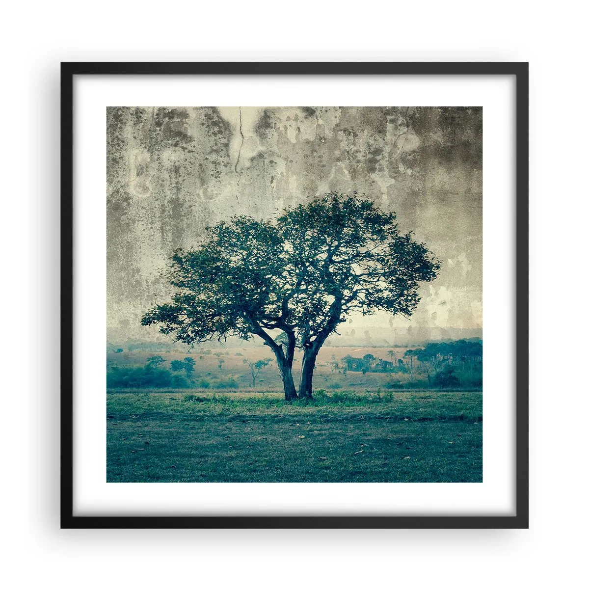 Poster in einem schwarzem Rahmen - Ein Apfelbaum auf blauem Feld? - 50x50 cm