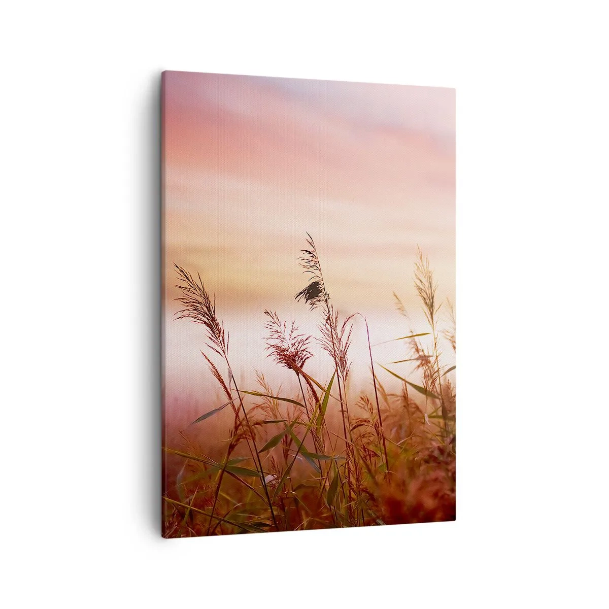 Bild auf Leinwand - Leinwandbild - Ein Grasfeld vor der Kulisse eines malerischen Sonnenuntergangs - 50x70cm - Drachen, Löwenzahn, Wind - Moderne Wanddekoration für Wohnzimmer und Schlafzimmer ARTTOR