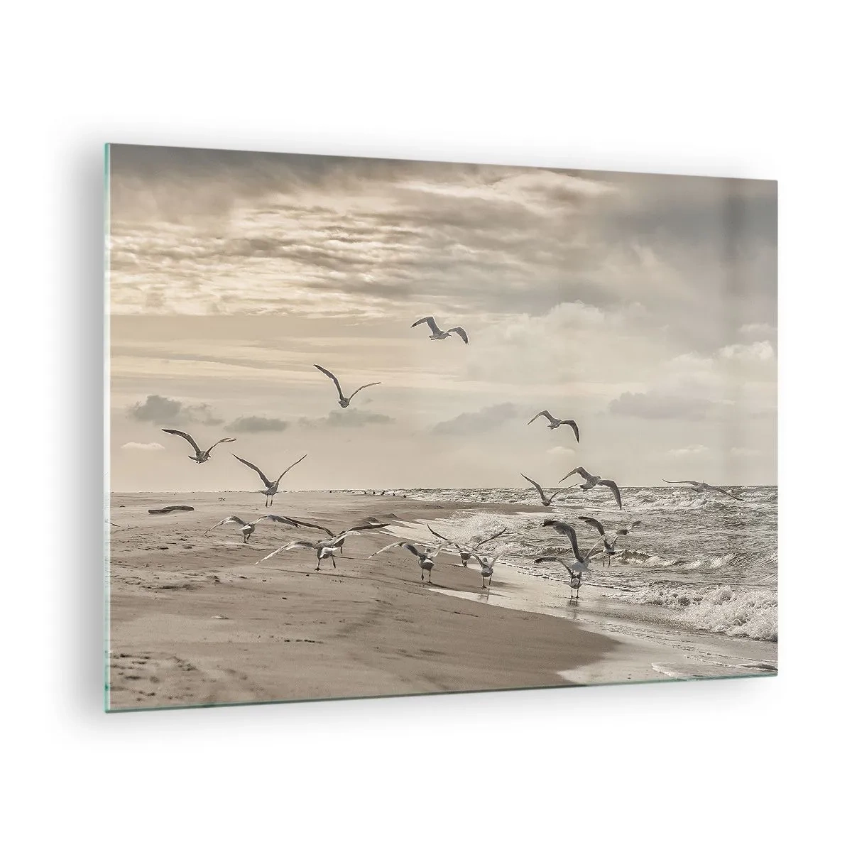 Glasbild - Bild auf glas - Vögel an der Küste im Morgengrauen in Sepiatönen - 70x50cm - Meeresrauschen, Vogelgesang - Moderne Wanddekoration für Wohnzimmer und Schlafzimmer ARTTOR