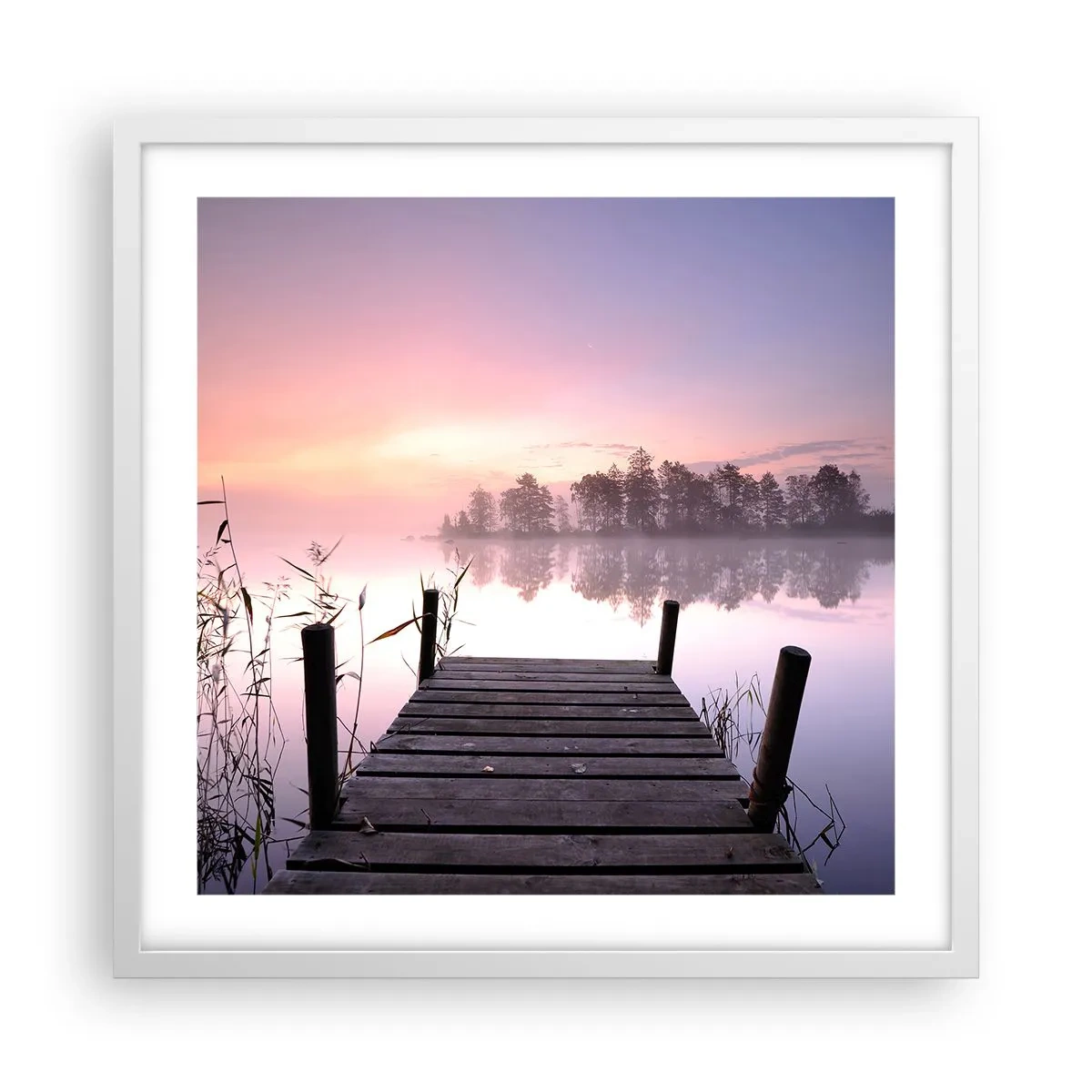 Poster in einem weißen Rahmen - Aus dem lila Nebel ... - 50x50 cm