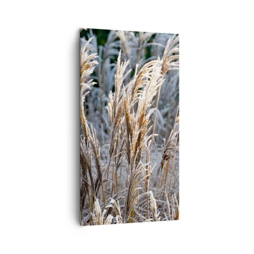 Bild auf Leinwand - Leinwandbild - Gekleidet mit Frost - 45x80 cm