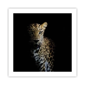 Poster - Dunkle Schönheit - 50x50 cm