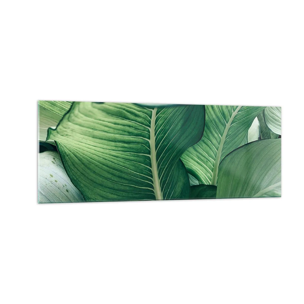 Glasbild - Bild auf glas - Grüne Blätter mit ausdrucksstarken Details und Struktur - 140x50cm - Intensiv grünes Leben - Moderne Wanddekoration für Wohnzimmer und Schlafzimmer ARTTOR