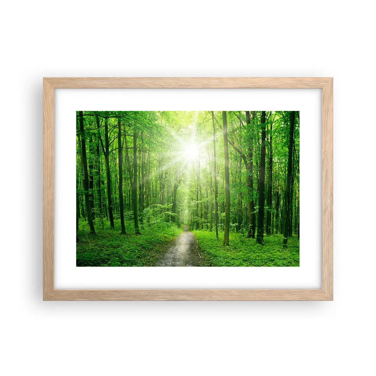 Poster in einem Rahmen aus heller Eiche - Die grüne Kathedrale - 40x30 cm