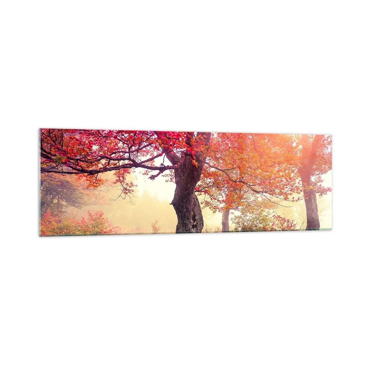 Glasbild - Bild auf glas - Herbstlandschaft mit Bäumen in intensiven Farben - 160x50cm - Blühende Raserei - Moderne Wanddekoration für Wohnzimmer und Schlafzimmer ARTTOR