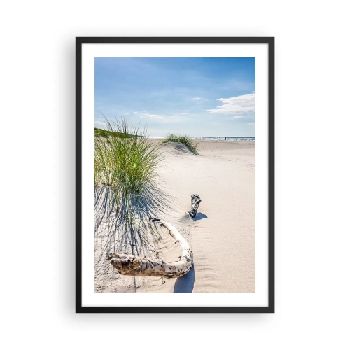 Poster in einem schwarzem Rahmen - Strand mit Dünen, Gras und Ästen im Sonnenlicht - 50x70cm - Der schönste Strand? Ostsee-Strand - Moderne Wanddekoration für Wohnzimmer und Schlafzimmer ARTTOR