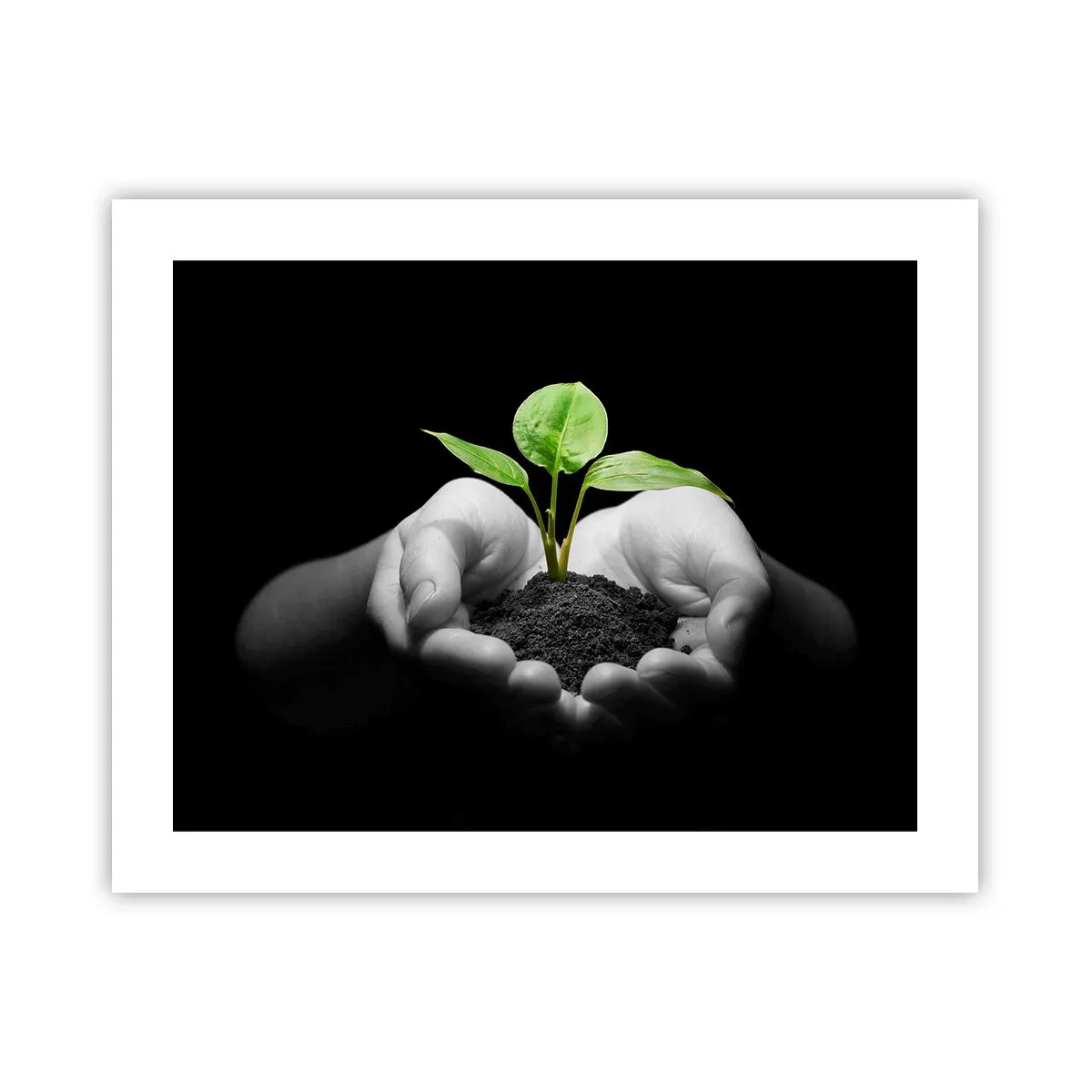 Poster - Ich liebe die Natur, ich beschütze sie - 50x40 cm