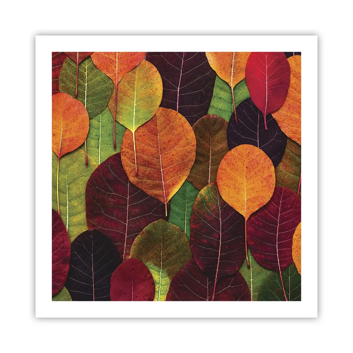 Poster - Herbstmosaik - 60x60 cm