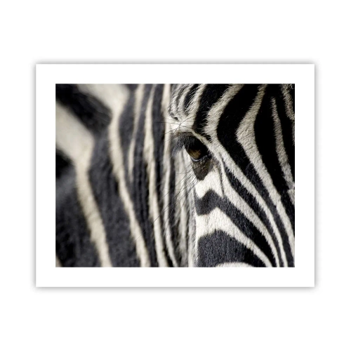 Poster - Gestreiftes Porträt - 50x40 cm