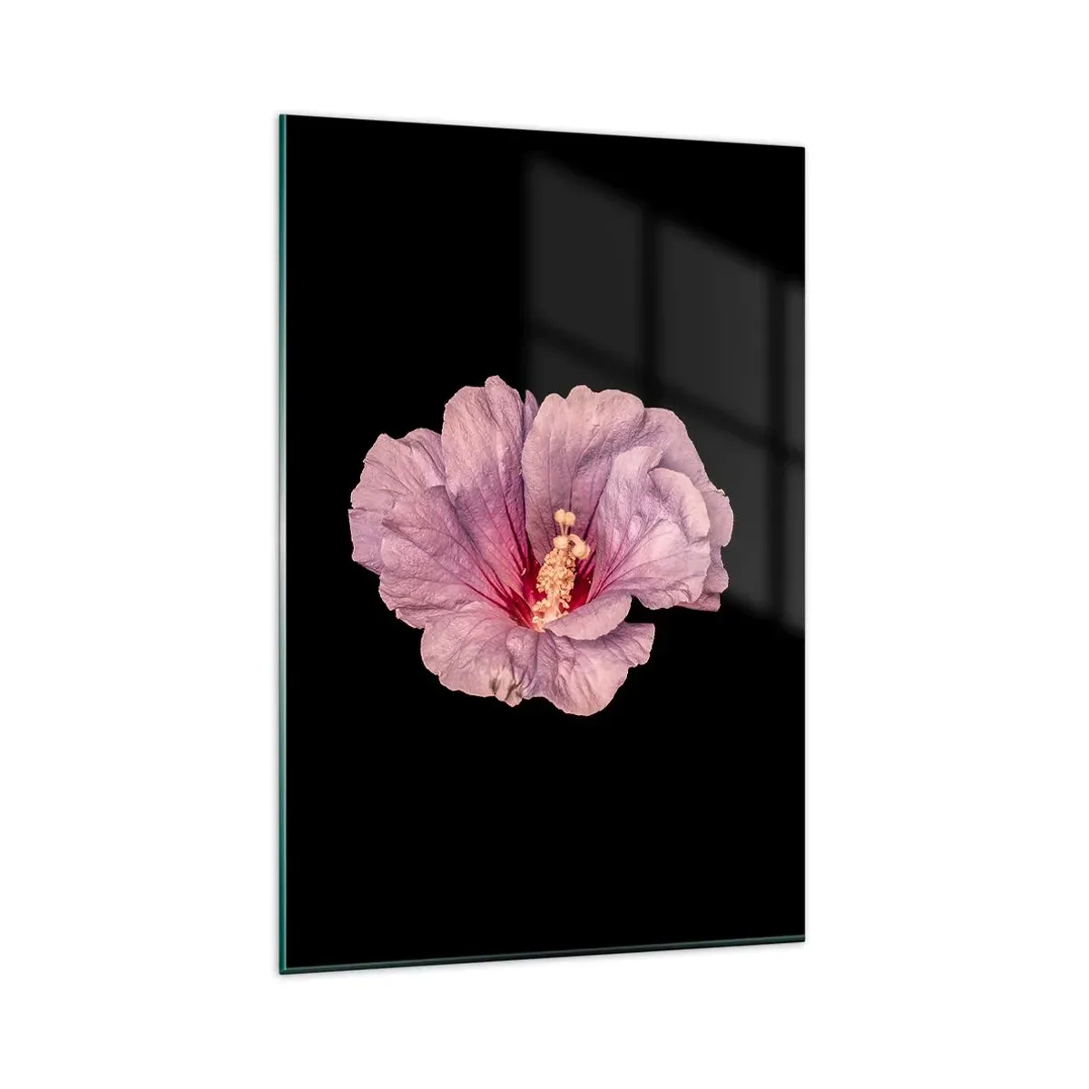 Glasbild - Bild auf glas - Rosa Blume auf schwarzem Hintergrund - 80x120cm - Direkt ins Herz - Moderne Wanddekoration für Wohnzimmer und Schlafzimmer ARTTOR