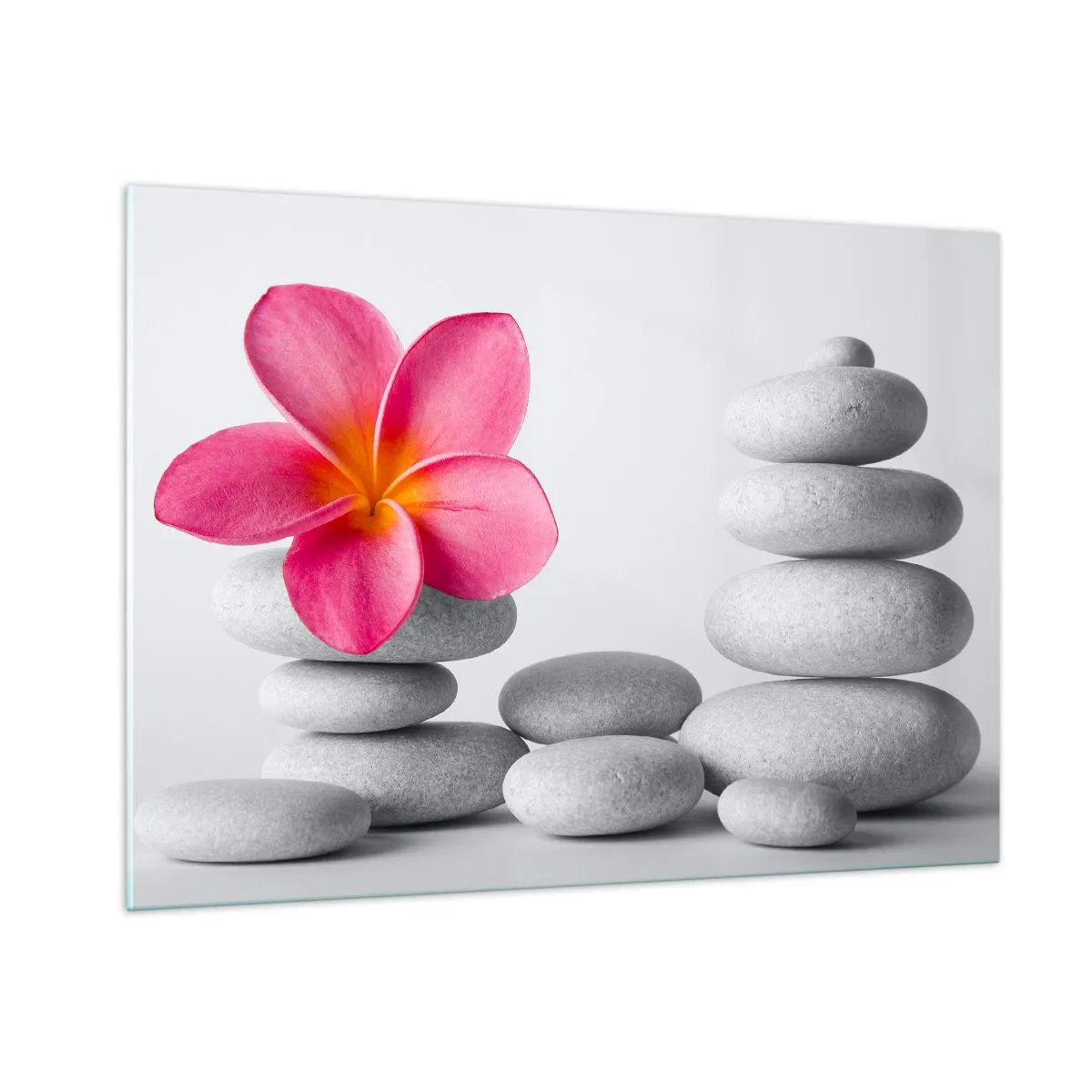 Glasbild - Bild auf glas - Eine rosa Blume vor einem Haufen weißer Steine - 100x70cm - Stein auf Stein und auf diesem Stein... - Moderne Wanddekoration für Wohnzimmer und Schlafzimmer ARTTOR