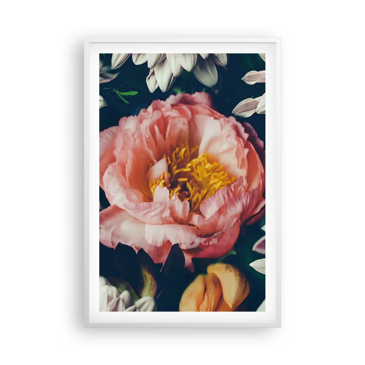 Poster in einem weißen Rahmen - Mit barocker Pracht - 61x91 cm