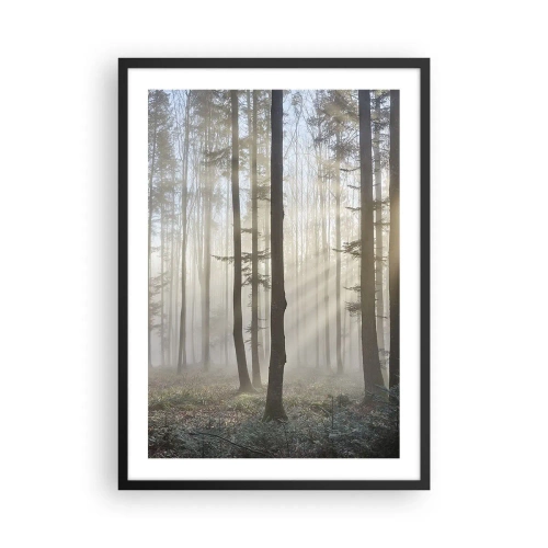 Poster in einem schwarzem Rahmen - Ein nebliger Morgen im Wald mit Sonnenstrahlen - 50x70cm - Der Nebel ist auch aufgewacht - Moderne Wanddekoration für Wohnzimmer und Schlafzimmer ARTTOR