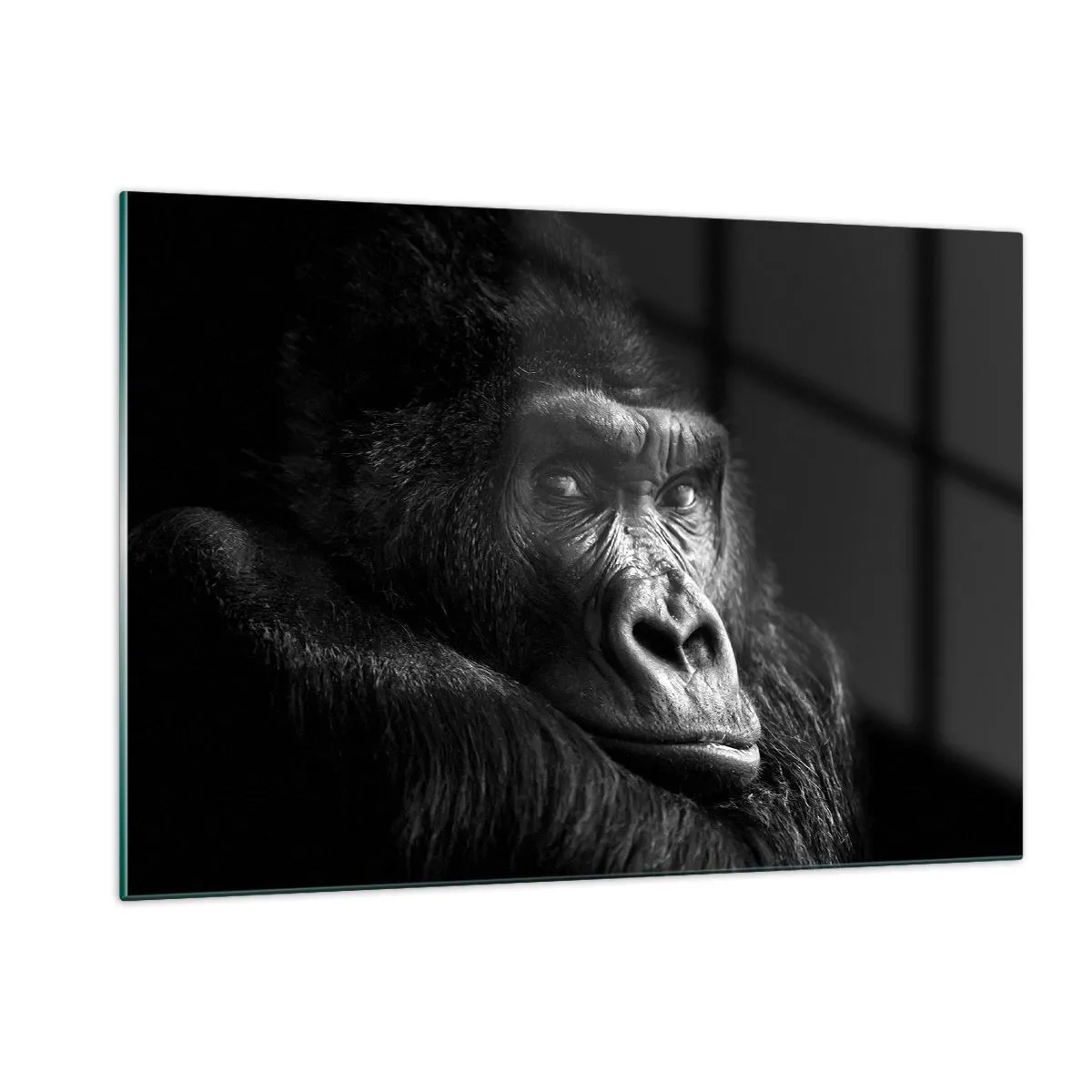 Glasbild - Bild auf glas - Schwarz-Weiß-Porträt eines Gorillas im Schatten eines Fensters - 120x80cm - Und was guckst du so? - Moderne Wanddekoration für Wohnzimmer und Schlafzimmer ARTTOR