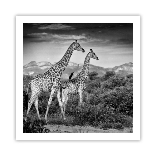 Poster - Hohe Sphären in Afrika - 60x60 cm