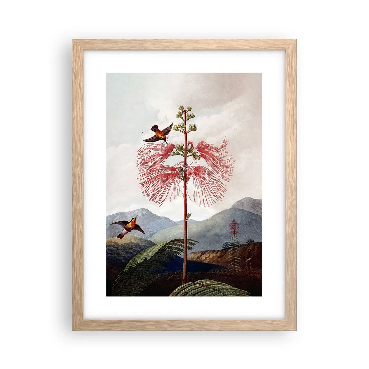 Poster in einem Rahmen aus heller Eiche - In einem tropischen Paradies - 30x40 cm