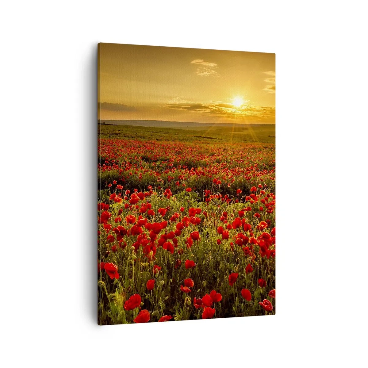 Bild auf Leinwand - Leinwandbild - Ein Feld mit roten Mohnblumen im Schein der untergehenden Sonne - 50x70cm - Unter den Wellen raschelnder Wiesen, unter den Blumen der Flut - Moderne Wanddekoration für Wohnzimmer und Schlafzimmer ARTTOR