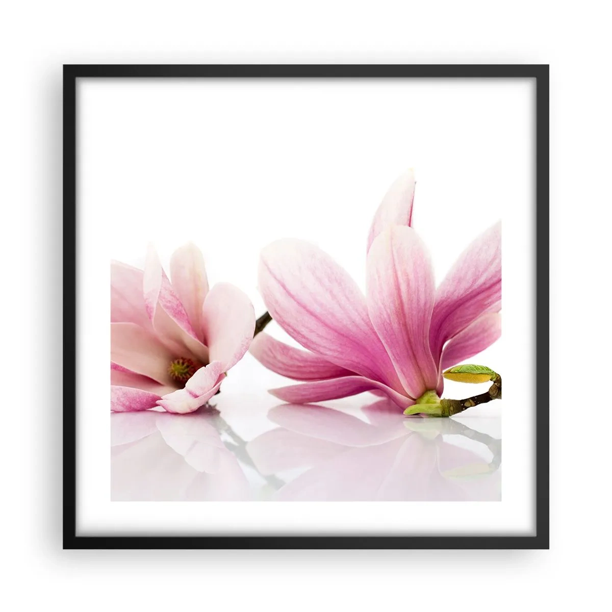 Poster in einem schwarzem Rahmen - Zart wie ein Frühlingswind - 50x50 cm